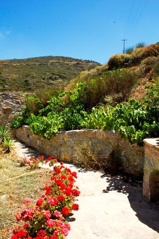Thomas Apartments Katapola - Chora المظهر الخارجي الصورة