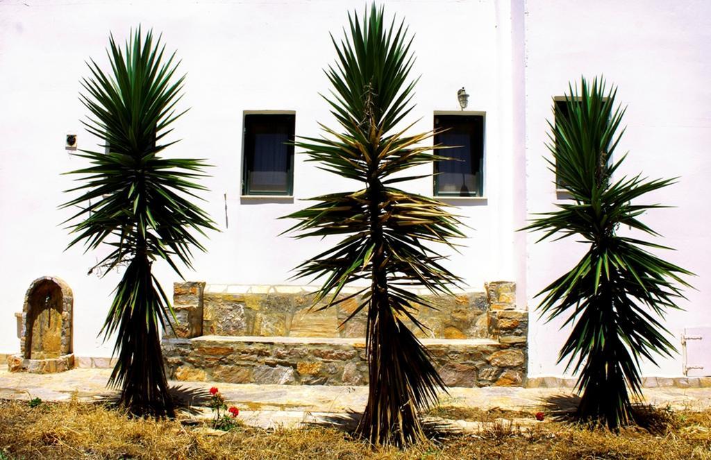 Thomas Apartments Katapola - Chora المظهر الخارجي الصورة